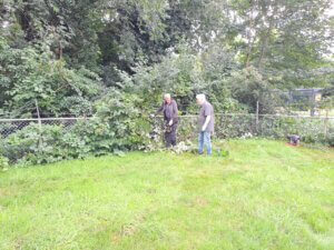 IMG-20250812-WA0020